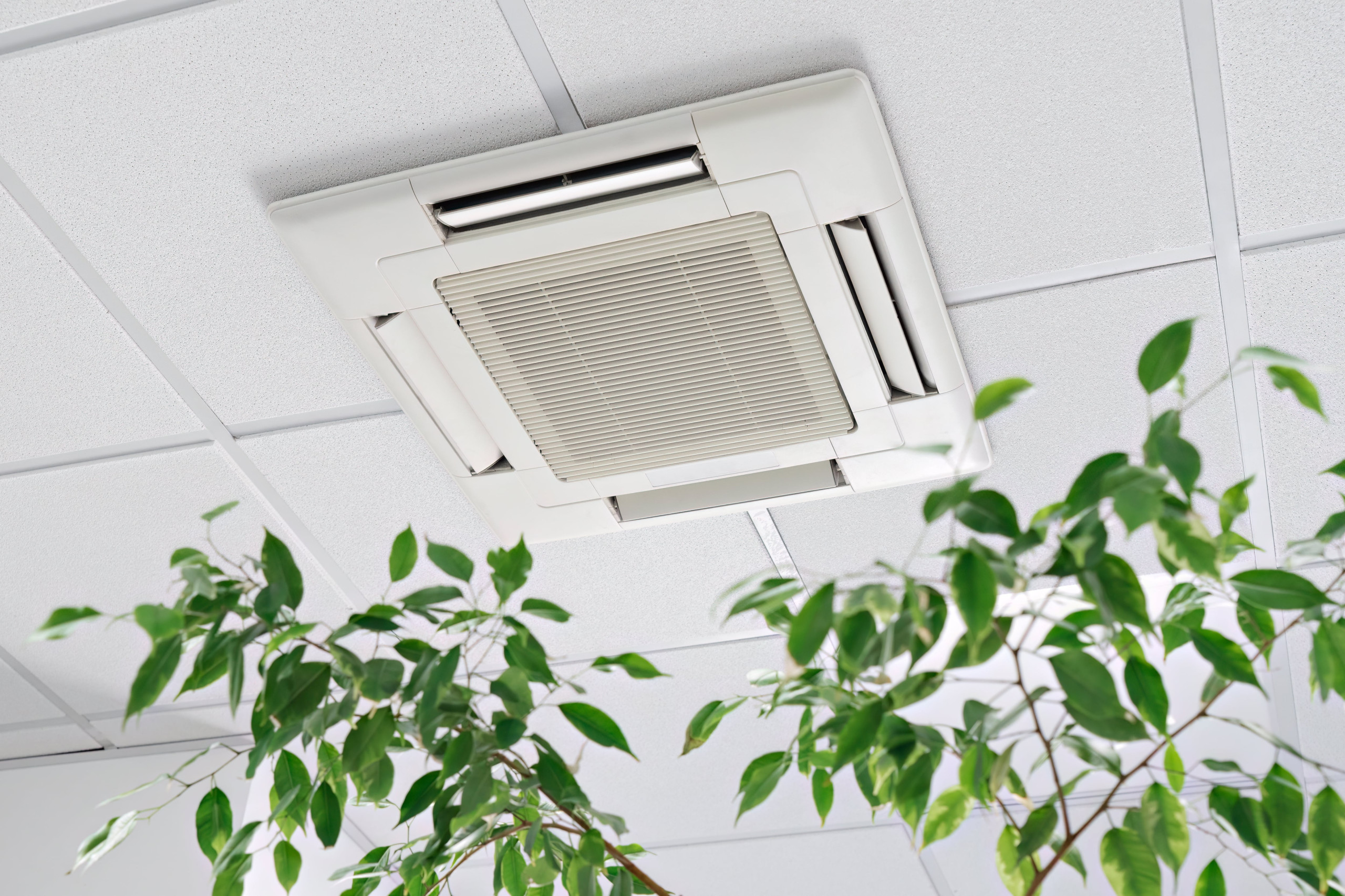 Why is Indoor Air Quality Important