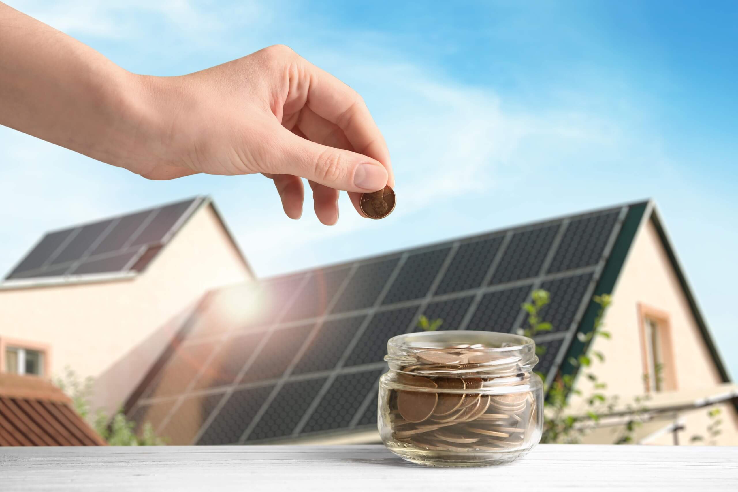 Solar Panel & Savings